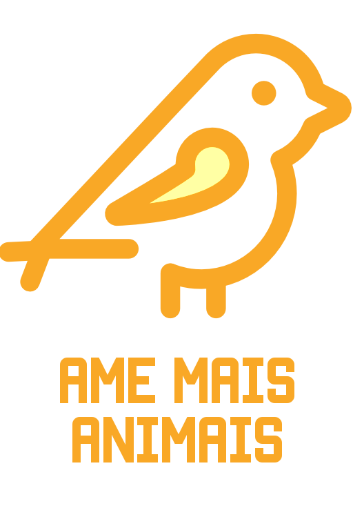 Ame Mais Animais